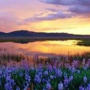 Meet your Posher, Terri